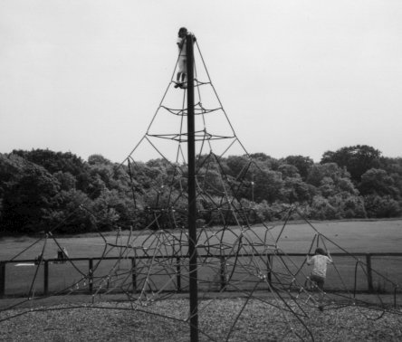 Parkbagging in Wirral
