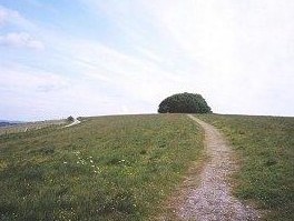 Win Green summit from the car park (photo: Richard Webb)