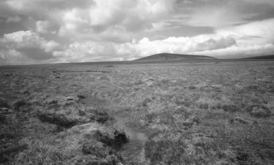 Muirneag towers above Lewis bog (photo: Richard Webb)