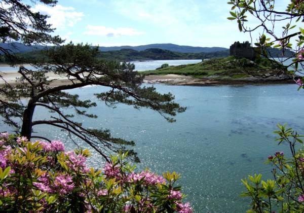 Castle Tioram from Beinn Bhreac (photo: Alan Dawson)