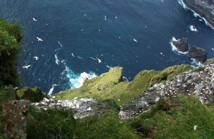 Gannets and the Atlantic from Boreray summit ridge