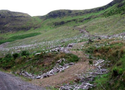 East face of Sithean na Raplaich in 2009 (photo: Alan Dawson)