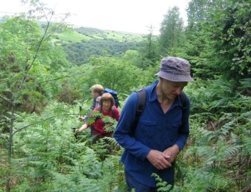 Ascent of Bainloch Hill in June (photo: Brent Lynam)