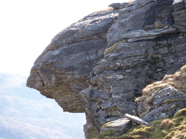 Eagle eye, Cruach Bheinn (photo: Eric Young)