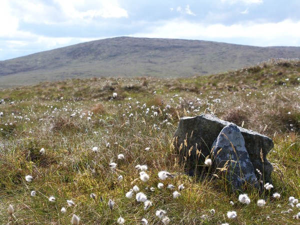 Muirneag from the cairn (photo: Eric Young)