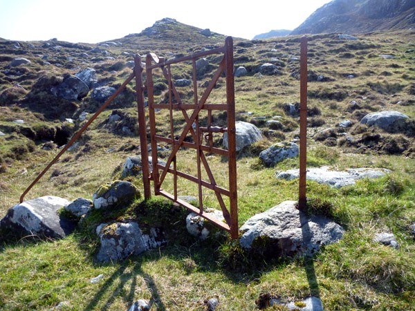 Who let the sheep out? Husival Mor (photo: Martin Richardson)