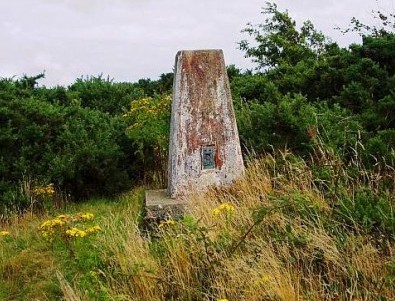 Brightstone Down (photo: Martin Richardson)