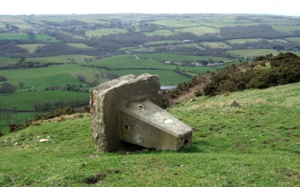 Pillar down on Nine Barrow Down (photo; Alan Dawson)