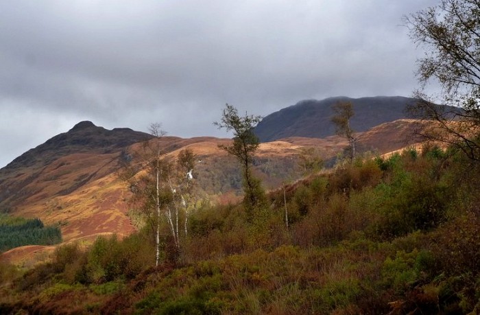 Ben Lomond before the deluge (photo: Alan Dawson)